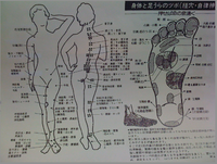 身体と足うらツボ！ 2010/11/17 07:34:52