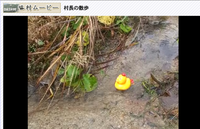 東北地震！DASH村も大丈夫と...。 2011/03/16 09:06:59