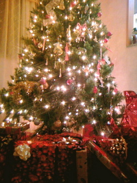 boxes under da tree 2