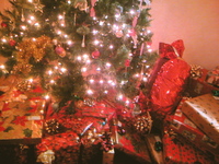boxes under da tree 1