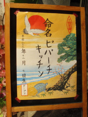 新規　開店2