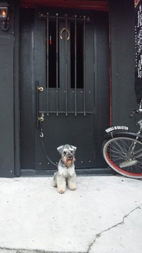 ♪扉♪ 2012/05/08 15:52:59