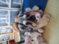 ♪梅雨入り♪ 2012/04/29 16:18:33