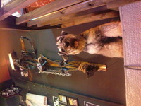 ♪本日♪ 2011/08/31 16:56:09