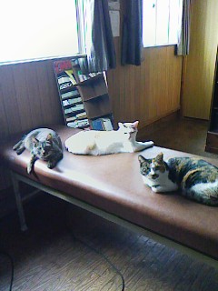 「1年目の小鉄」