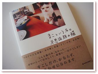 まこという名の不思議顔の猫