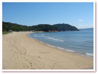 今日の予定とサプライズと海