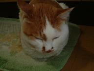 あけましておめでとうございます