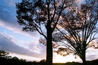 ちっぽけな悩み 2007/11/21 02:49:46