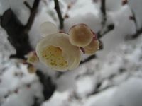 あと１０日 2008/02/21 21:56:01