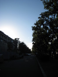 これからの道 2007/10/13 20:13:56