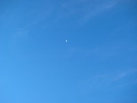 朝方の月 2007/12/11 17:23:05