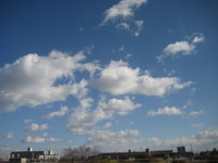 空を見上げる 2008/01/18 00:54:50