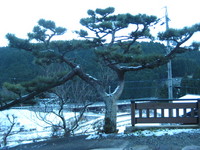 ２００８ 2008/01/03 20:19:26