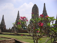 Thailand 2007/09/23 16:15:08