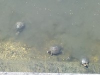 今日この頃・・・２