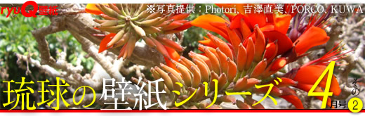 琉球の壁紙シリーズ【４月の沖縄・その２】(緑の沖縄)