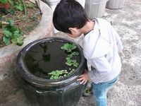 息子の興味 2014/05/15 01:35:29
