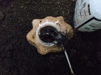 クワガタ　GET 2014/07/23 23:52:11