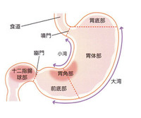 胃カメラ 2014/04/20 00:04:40