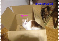 こうちゃんですっ 2014/05/04 11:41:59