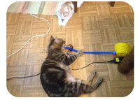 風船になって空を飛ぶ 2014/06/20 23:59:00