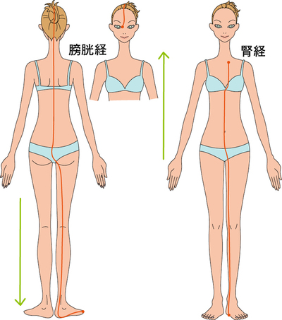 第６回　「屈曲型腰痛Ⅱ」　№２～kokokaraＤＶＤで学ぶ経絡コンディショニング～　