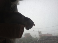 沖縄台風 2014/07/09 13:03:29