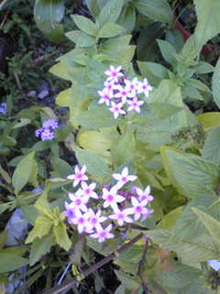 ☆インプラント治療について☆ 2013/05/20 08:11:59