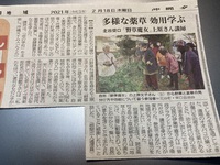 北谷町栄口区の区長の島袋裏艶子さんと野草魔女の上原文子さん 2021/02/19 08:36:49