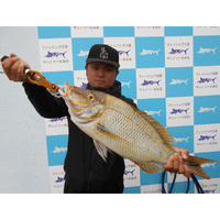 タマンモンスターEX10-480 DAIWA（ダイワ） バトルゲーム タマン