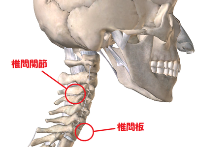 頚椎症やストレートネックへの「牽引治療」