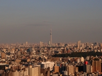 １０月２８日、seabun関東支部飲み会 2013/11/02 13:54:03