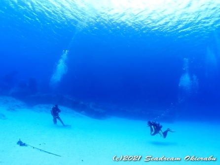 沖永良部島ダイビング　シードリーム沖永良部