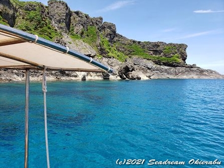 沖永良部島ダイビング　シードリーム沖永良部