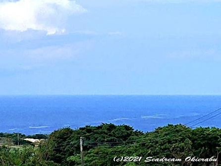 沖永良部島ダイビング　シードリーム沖永良部