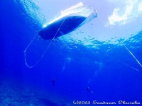 いちばん青い海˖✧˖° 2023/09/09 19:21:11