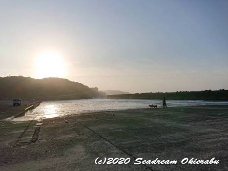 沖永良部島ダイビング　シードリーム沖永良部