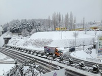 久しぶりの大雪！！ 2014/02/10 17:07:10