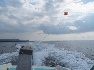 ちゅら海ﾊﾟﾗｾｰﾘﾝｸﾞ