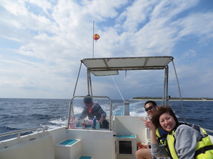 ちゅら海ﾊﾟﾗｾｰﾘﾝｸﾞ