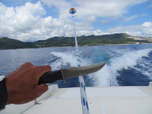 ちゅら海ﾊﾟﾗｾｰﾘﾝｸﾞ