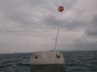 ちゅら海ﾊﾟﾗｾｰﾘﾝｸﾞ 2013/11/12 18:18:34