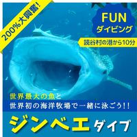 200%の大興奮！ジンベエザメと一緒に泳ごう！FUNダイビング