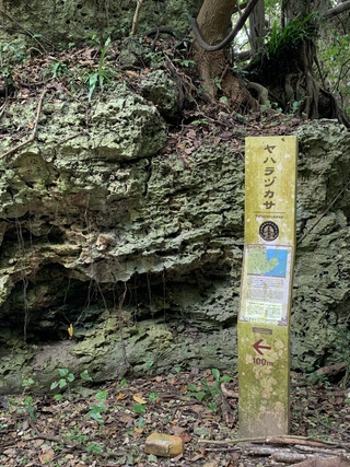 東御廻り(あがいうまーい) ヤハラツカサ