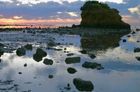 　県総公園、早朝の海辺で 2023/11/26 14:00:00