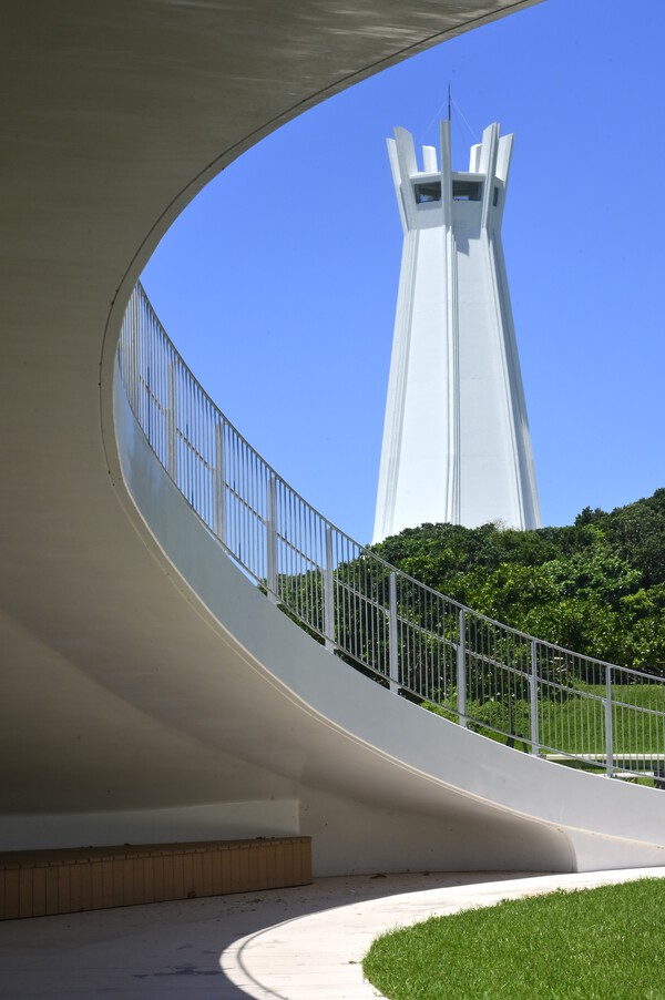 　センダングサの風景（５）