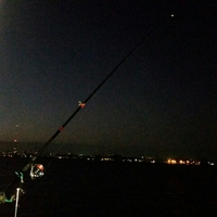 ２夜連続…撃沈！ 2015/12/06 18:19:13