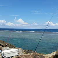 果てヤンバル！の釣果。プラスα 2015/08/02 08:06:48