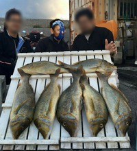 近況＆良型タマ～ン!! 2016/05/05 17:15:42